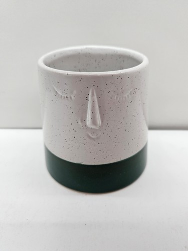 Face planter succulent pot - face,