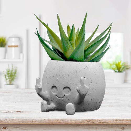 Smiling plant pot - smiling, with
