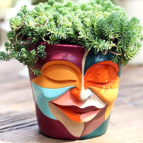 Abstract rainbow head planter - abstract,